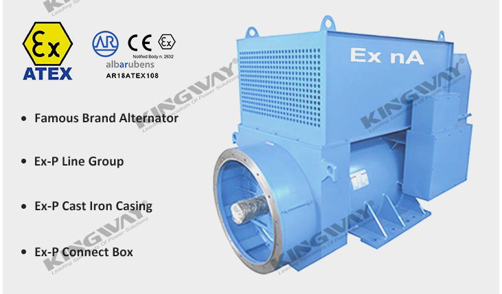 ATEX ex-proof generator 